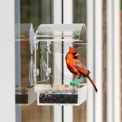 Show full view: Yarty Outdoor Transparent Acrylic Window Wild Bird Feeder slide 4 of 9