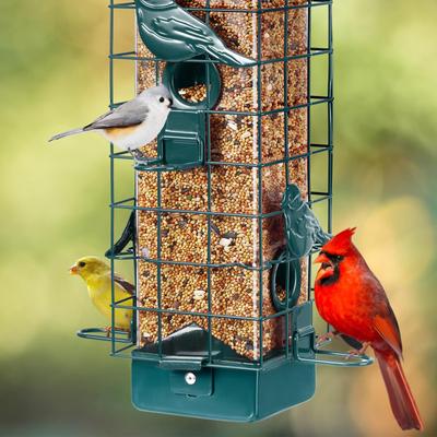 Show full view: Yarty Squirrel Proof Wild Bird Feeder, 3-lb, Green slide 8 of 9