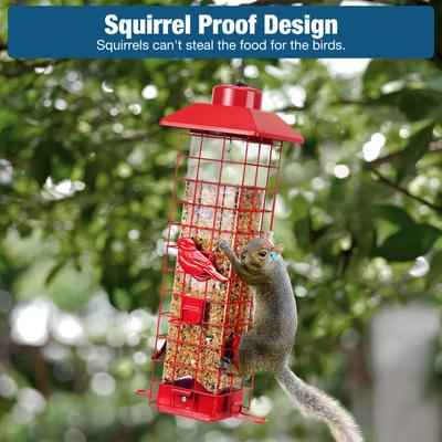 Show full view: Yarty Squirrel Proof Wild Bird Feeder, 3-lb, Red slide 7 of 9