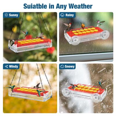 Show full view: Kingsyard Dual-Use Outdoors Hanging & Window Installation Wild Bird Feeder, Clear, 1.62-lb slide 7 of 9