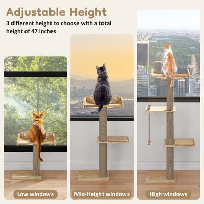 Show full view: Yafylly Sunbathing & Observation 49.2-in Cat Window Perch Tree with Resting Platform, Natural, Large slide 8 of 9