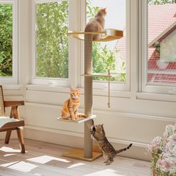 Yafylly Sunbathing & Observation 49.2-in Cat Window Perch Tree with Resting Platform, Natural, Large