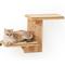 Show in main carousel: FUKUMARU Solid Rubber Wood Wall Mounted Cat Wall Shelf with 2 Platform & Sisal Mat, Brown slide 1 of 7