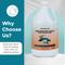 Show in main carousel: Steam & Go Tropical Bloom Demineralized Steam Mop Water, 1-gal bottle, 1 count slide 5 of 5