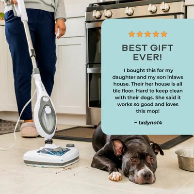 Show full view: Steam & Go The Housekeeper 10-in-1 All-Purpose Steamer, White slide 7 of 8