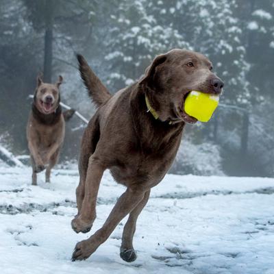 Show full view: Ruff Dawg Dawg-Cube Dog Chew Toy, Yellow, X-Large slide 4 of 5