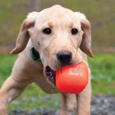 Show full view: Ruff Dawg Dawg-Cube Dog Chew Toy, Pink, Small slide 3 of 3