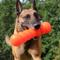 Show in main carousel: Ruff Dawg Dawg-Buster Tough Dog Chew Toy, Orange, X-Large slide 5 of 5