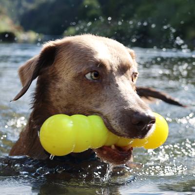 Show full view: Ruff Dawg Dawg-Buster Tough Dog Chew Toy, Yellow, Small slide 5 of 5