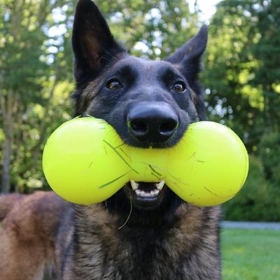 Show full view: Ruff Dawg Big Dawg Dog Chew Toy, Yellow, X-Large slide 4 of 4