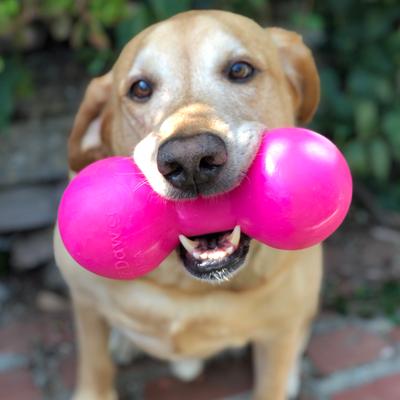 Show full view: Ruff Dawg Big Dawg Dog Chew Toy, Pink, X-Large slide 5 of 5