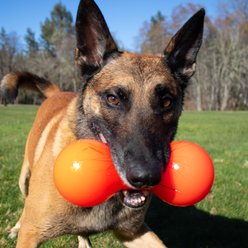 Ruff Dawg Big Dawg Dog Chew Toy, Orange, X-Large slide 2 of 4
