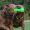 Show in main carousel: Ruff Dawg Big Dawg Dog Chew Toy, Green, X-Large slide 4 of 4