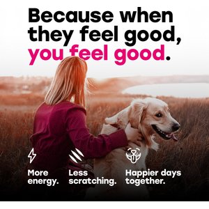 Pup Choice with Probiotics & Glucosamine, Bacon Flavor Soft & Chewy Multivitamin for Dogs, 140 Count