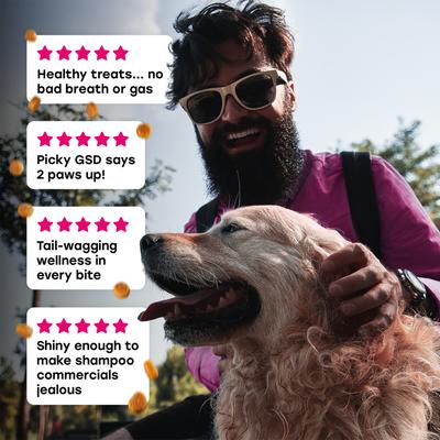 Show full view: Pup Choice with Probiotics & Glucosamine, Bacon Flavor Soft & Chewy Multivitamin for Dogs, 140 Count slide 9 of 11