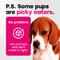 Show in main carousel: Pup Choice with Probiotics & Glucosamine, Beef Flavor Soft & Chewy Multivitamin for Dogs, 140 Count slide 10 of 11