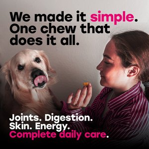 Pup Choice with Probiotics & Glucosamine, Bacon Flavor Soft & Chewy Multivitamin for Dogs, 140 Count