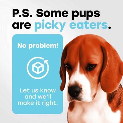 Show full view: Pup Choice Probiotics with Prebiotics & Pumpkin Beef Flavor Soft & Chewy Digestive Health Dog Treats, 140 Count slide 10 of 11