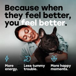 Pup Choice Probiotics with Prebiotics & Pumpkin Beef Flavor Soft & Chewy Digestive Health Dog Treats, 140 Count slide 2 of 9