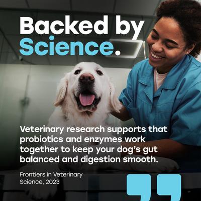Show full view: Pup Choice Probiotics with Prebiotics & Pumpkin Beef Flavor Soft & Chewy Digestive Health Dog Treats, 140 Count slide 7 of 11