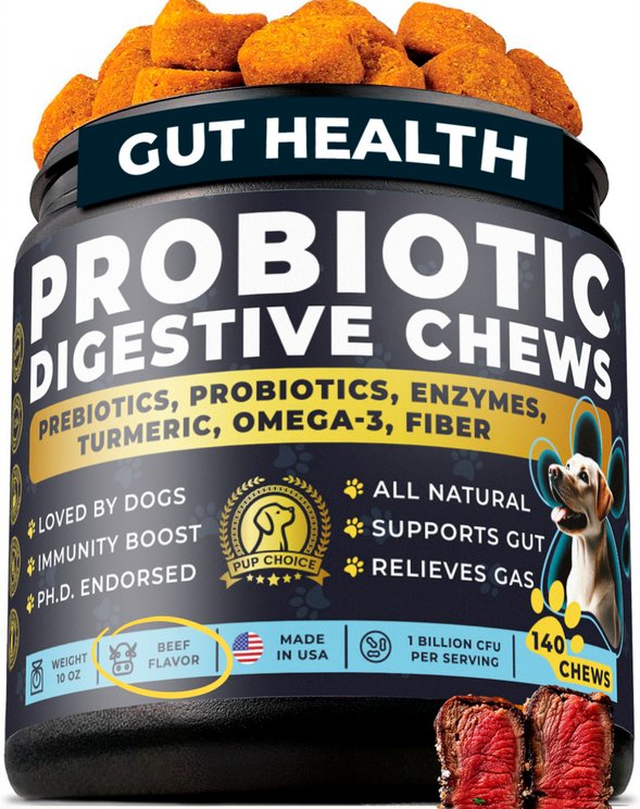 Picture of Dog Probiotic Supplements & Chews: Digestion Support | Chewy