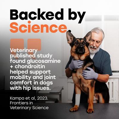 Show full view: Pup Choice Hip & Joint Support with Glucosamine, Chondroitin & MSM, Beef Flavor Soft & Chewy Dog Treats, 140 Count slide 7 of 11