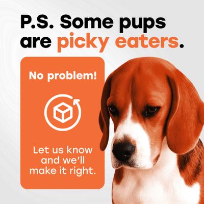 Show full view: Pup Choice Hip & Joint Support with Glucosamine, Chondroitin & MSM, Beef Flavor Soft & Chewy Dog Treats, 140 Count slide 10 of 11