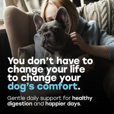 Show full view: Pup Choice Probiotics with Prebiotics & Pumpkin Beef Flavor Soft & Chewy Digestive Health Dog Treats, 140 Count slide 3 of 11