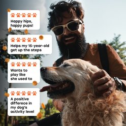 Pup Choice Hip & Joint Support with Glucosamine, Chondroitin & MSM, Beef Flavor Soft & Chewy Dog Treats, 140 Count slide 2 of 9