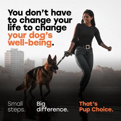 Show full view: Pup Choice Hip & Joint Support with Glucosamine, Chondroitin & MSM, Beef Flavor Soft & Chewy Dog Treats, 140 Count slide 3 of 11