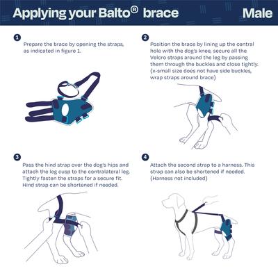 Show full view: Balto Jump Dog Knee Brace, Small- Left slide 5 of 9