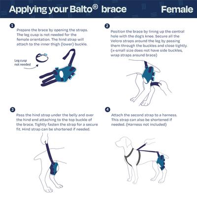 Show full view: Balto Jump Dog Knee Brace, Small- Left slide 6 of 9