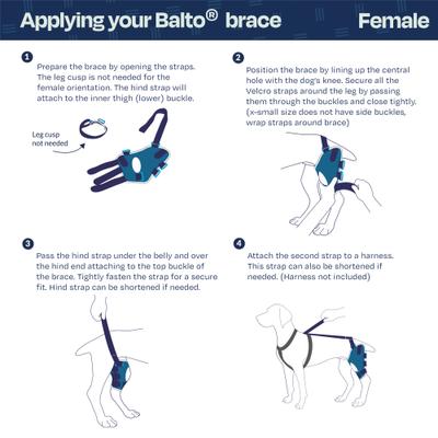 Show full view: Balto Jump Dog Knee Brace, Large- Left slide 6 of 9