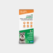 Credelio for dogs