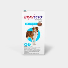 Bravecto for dogs