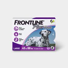 Frontline plus for dogs