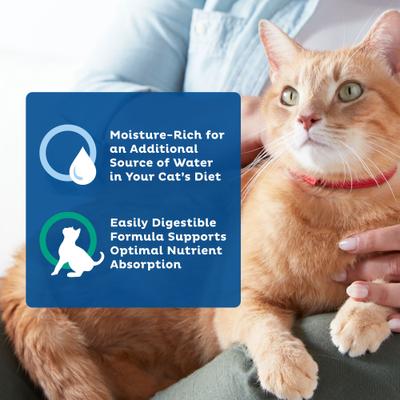 Show full view: 9 Lives Tender Morsels with Real Ocean Whitefish & Tuna Bits in Broth Senior Wet Cat Food, 5.5-oz can, case of 4 slide 6 of 12