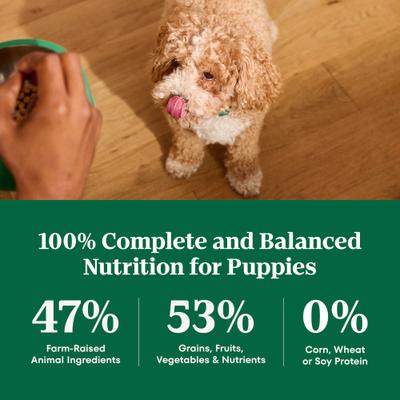 Show full view: Nutro Natural Choice Puppy Chicken & Brown Rice Recipe Dry Dog Food, 5-lb bag slide 9 of 11