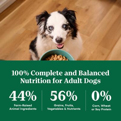 Show full view: Nutro Natural Choice Adult Chicken & Brown Rice Recipe Dry Dog Food, 30-lb bag slide 8 of 9