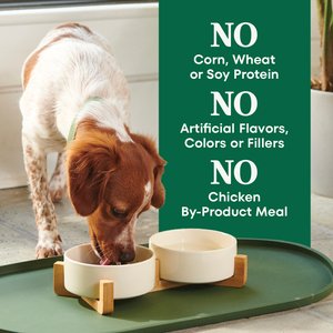 Nutro Natural Choice Adult Small Bites Lamb & Brown Rice Recipe Dry Dog Food, 12-lb bag