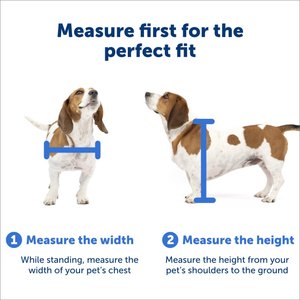 PetSafe Sliding 80 11/16-in Glass Pet Door, White, Medium