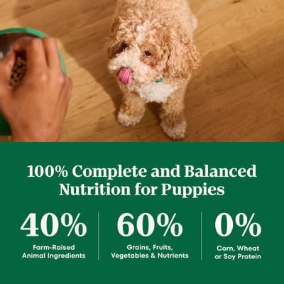 Show full view: Nutro Natural Choice Puppy Large Breed Lamb & Brown Rice Recipe Dry Dog Food, 30-lb bag slide 9 of 11