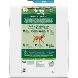 Nutro Natural Choice Puppy High Protein Lamb & Brown Rice Recipe Dry Dog Food, 12-lb bag