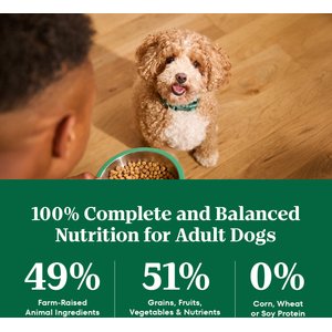 Nutro Natural Choice Adult Small Breed Chicken & Brown Rice Recipe Dry Dog Food, 13-lb bag