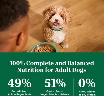 Show full view: Nutro Natural Choice Adult Small Breed Chicken & Brown Rice Recipe Dry Dog Food, 13-lb bag slide 8 of 9