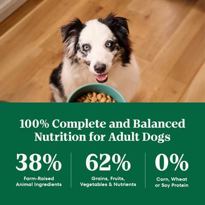 Show full view: Nutro Natural Choice Adult Large Breed Chicken & Brown Rice Recipe Dry Dog Food, 30-lb bag slide 8 of 9