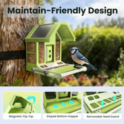 Birdfy Metal Bird Feeder with Camera Squirrel Proof AI Lifetime Free Solar Powered, Green slide 2 of 9