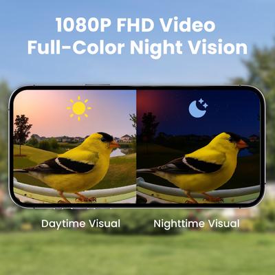 Show full view: Birdfy Metal Bird Feeder with Camera Squirrel Proof AI Lifetime Free Solar Powered, Green slide 5 of 10