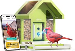 Birdfy Metal Bird Feeder with Camera Squirrel Proof AI Lifetime Free Solar Powered, Green