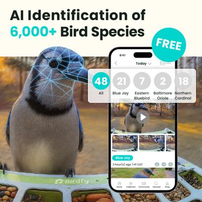 Show full view: Birdfy Metal Bird Feeder with Camera Squirrel Proof AI Lifetime Free Solar Powered, Green slide 2 of 10